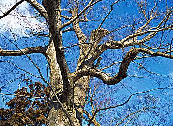 《极限竞速：地平线5》新DLC斗鱼主播招募、货拉拉涂装活动开启